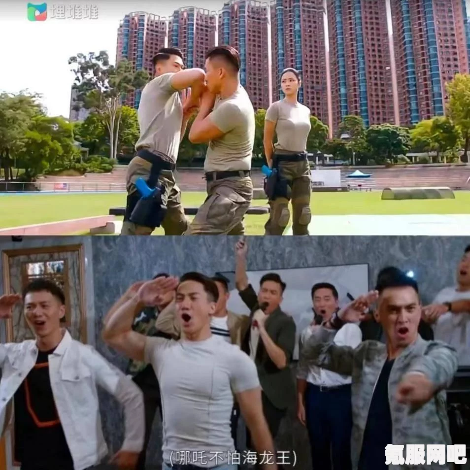关于埋堆堆软件小窗口功能的使用疑问解答