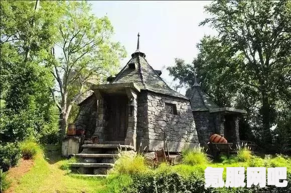 霍格沃茨遗产游戏，禁林古代魔法热点的神秘位置探索