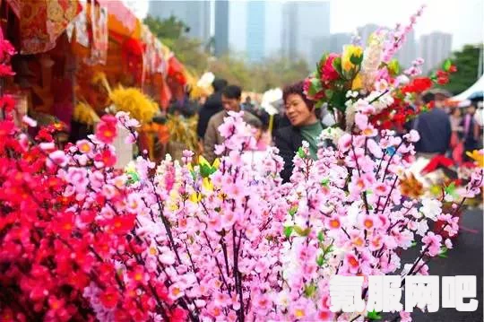 江南百景图迎春花开醉流连玩法详解与活动介绍