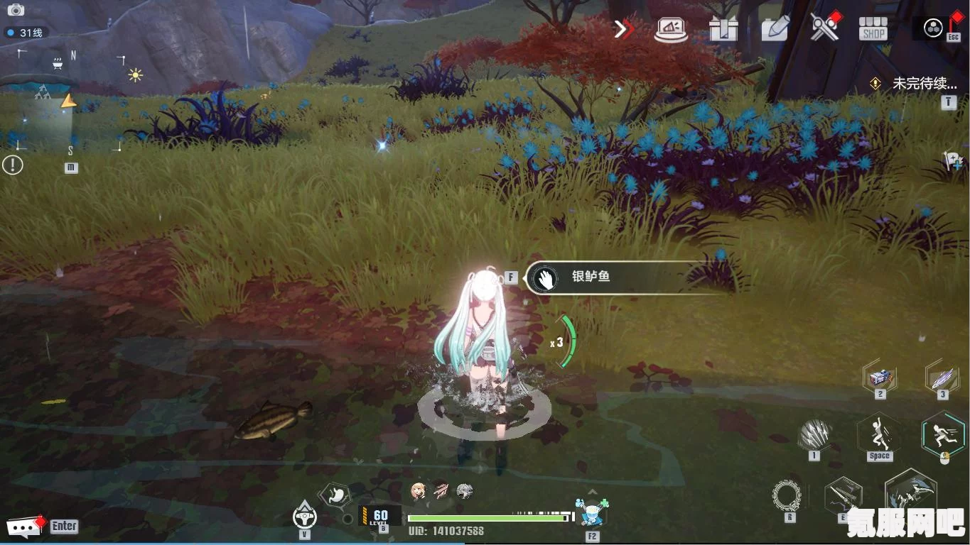 幻塔烹饪自研类别探索，无限烹饪创意与可能性展示