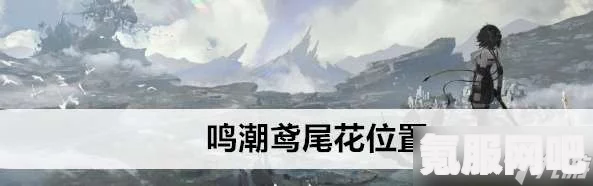 鸣潮妙弋花采集路线图详解，44朵妙弋花的寻访之旅