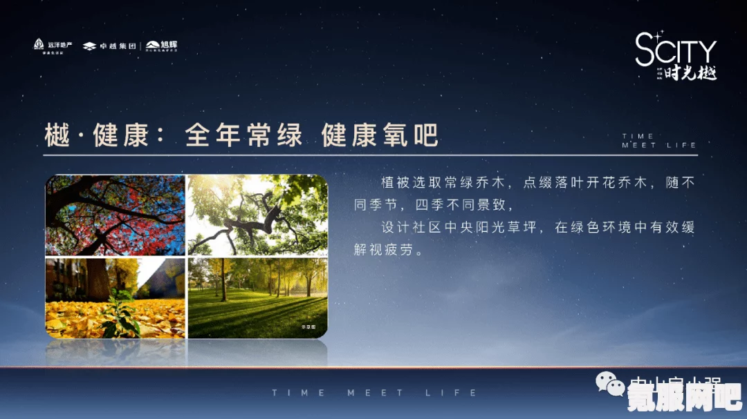 霍格沃茨遗产中的背部未识别物品解析及解决方法