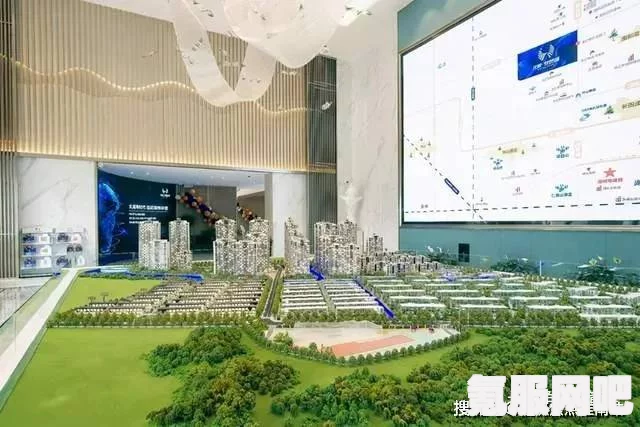 关于QQ服务异常情况的解析，原因与应对之策