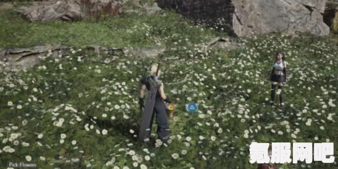 FF7重生，山丘上绽放的花攻略详解