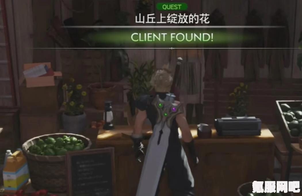 FF7重生，山丘上绽放的花攻略详解