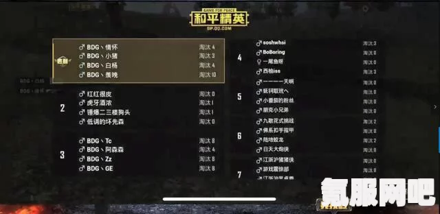 和平精英2023年口令兑换码大全及游戏攻略，新手入门指南与常见问题解答