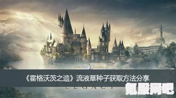 霍格沃茨遗产游戏，流液草种子的获取地点详解