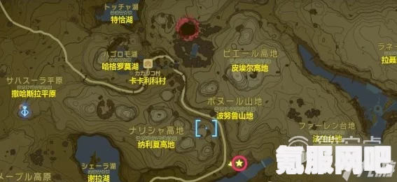 塞尔达传说王国之泪与任亏券的购买和使用指南
