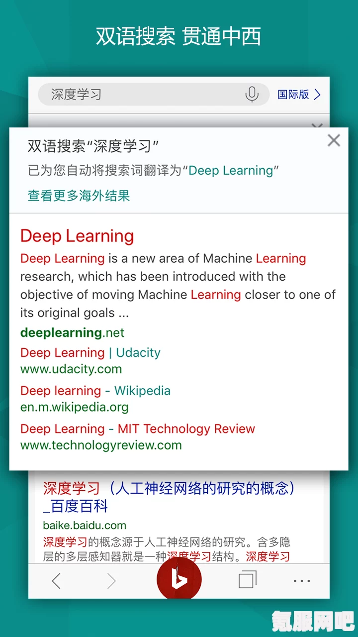 解决微软必应闪退问题的方法及其原因探究