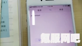 解决微软必应闪退问题的方法及其原因探究