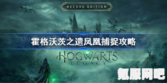 霍格沃茨之遗，凤凰捕捉攻略详解