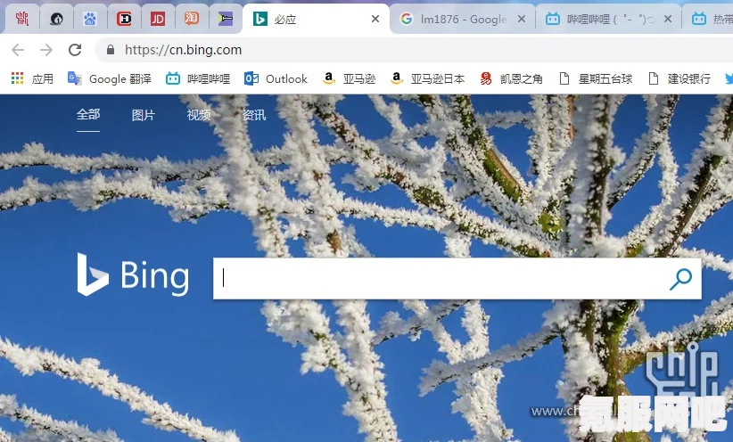 微软必应官网地址分享及常见问题解答