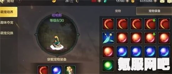 DNF手游宠物装备获取攻略