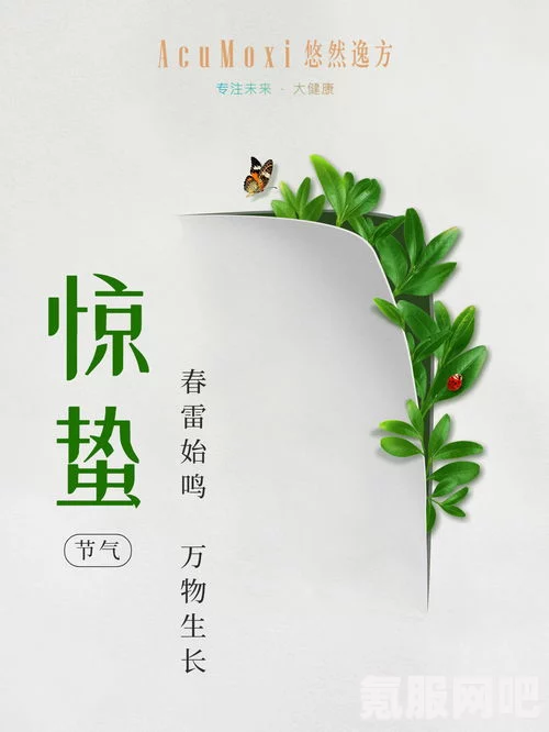 桃源深处有人家惊蛰闻雷活动玩法详解与节气活动介绍
