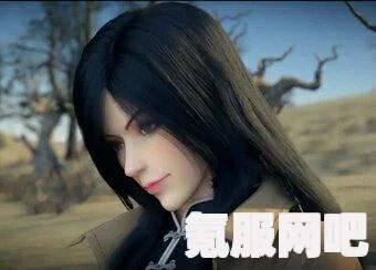 文明与征服先行服官网地址及游戏相关问答解析