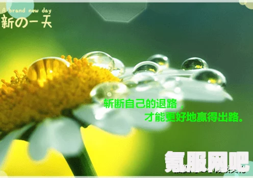 冬至温情，一句话朋友圈文案，暖你我心弦共鸣