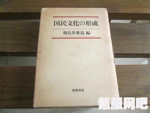 奈飞文化手册，深度解读与介绍