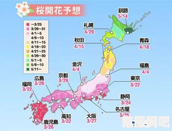 鸣潮虎门山脉寒雾深坑信标点开启路线详解与攻略问答