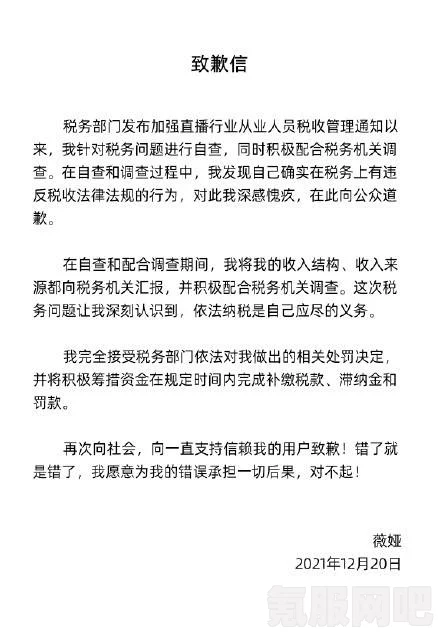 薇娅偷逃税事件揭秘，追缴并处罚款达13.41亿元的背后真相