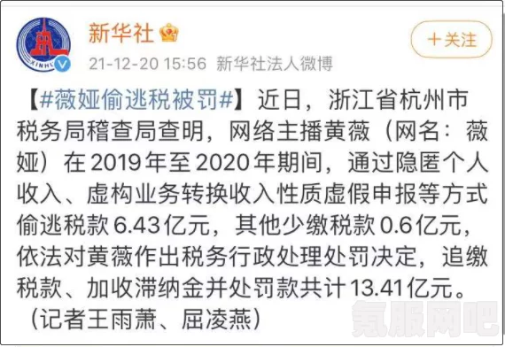 薇娅偷逃税事件揭秘，追缴并处罚款达13.41亿元的背后真相