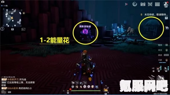 幻塔夜雀之羽，全面解析与实战使用指南