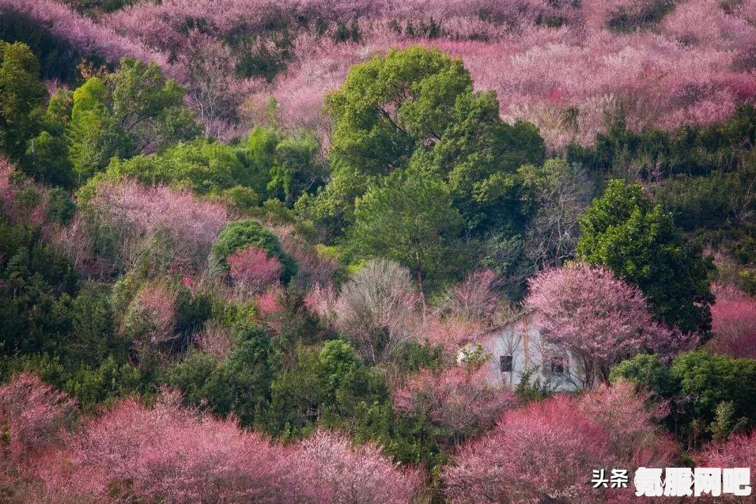 光遇三月份蜡烛需求汇总，全面解析三月份所需蜡烛数量