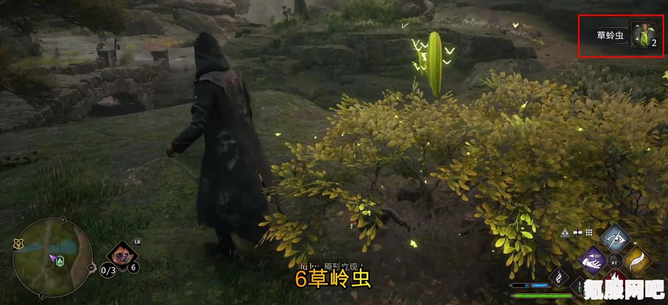 霍格沃茨遗产游戏中草蛉虫的位置指南