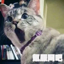 猫咪小姐2补丁安装详细教程