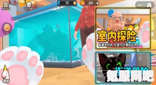 猫咪小姐2，游戏深度解析与体验分享