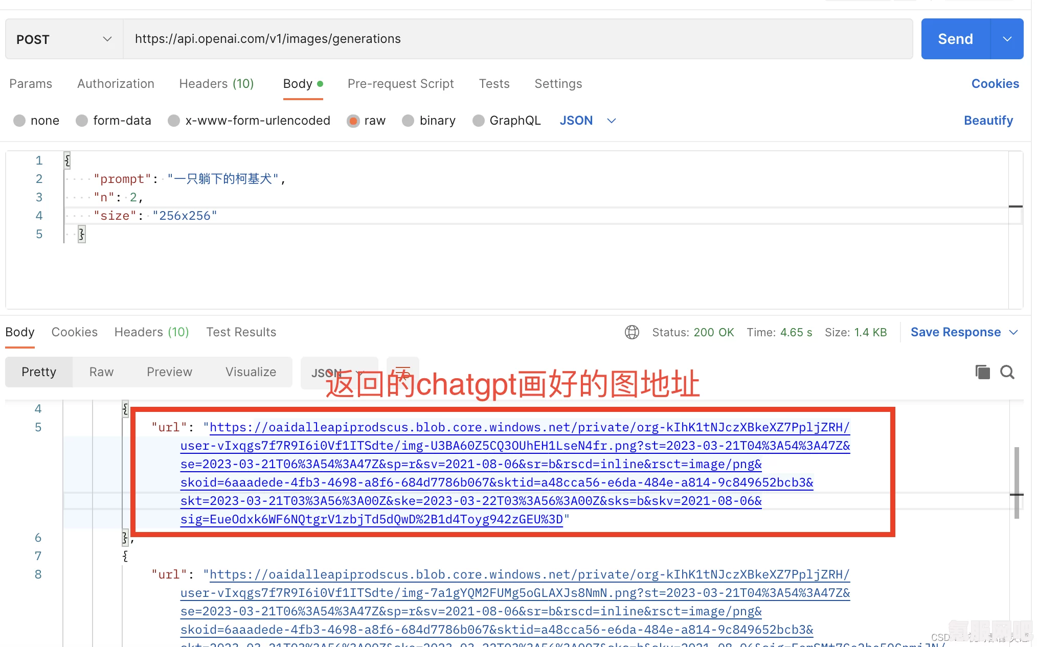 Chatgpt下载指南，获取官方下载地址及安装步骤