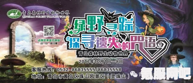 风帆纪元安艺国宝藏揭秘与探寻攻略