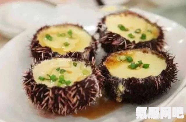 幻塔海胆蒸蛋，美味佳肴制作攻略揭秘