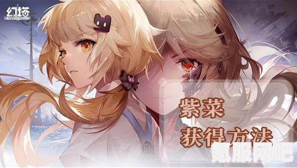 幻塔紫菜位置详解，如何轻松找到紫菜拾取点？