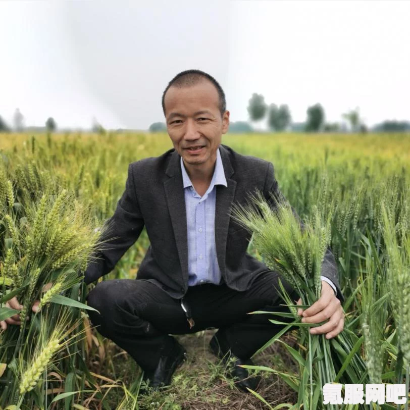 抖音在线观看官网地址分享及常见问题解答