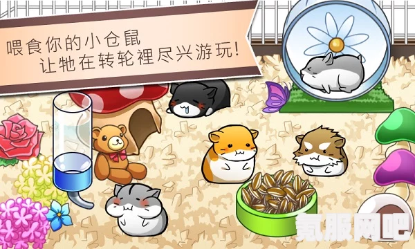 箱庭小偶领养其他小偶的指南与条件方法详解