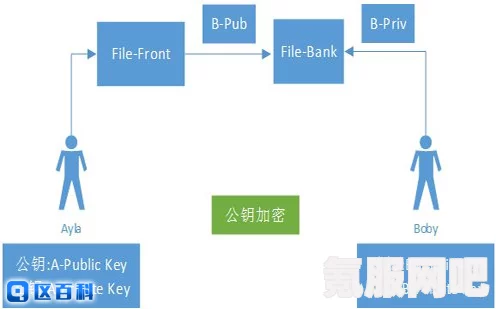 Damus公钥与私钥的差异及其重要性