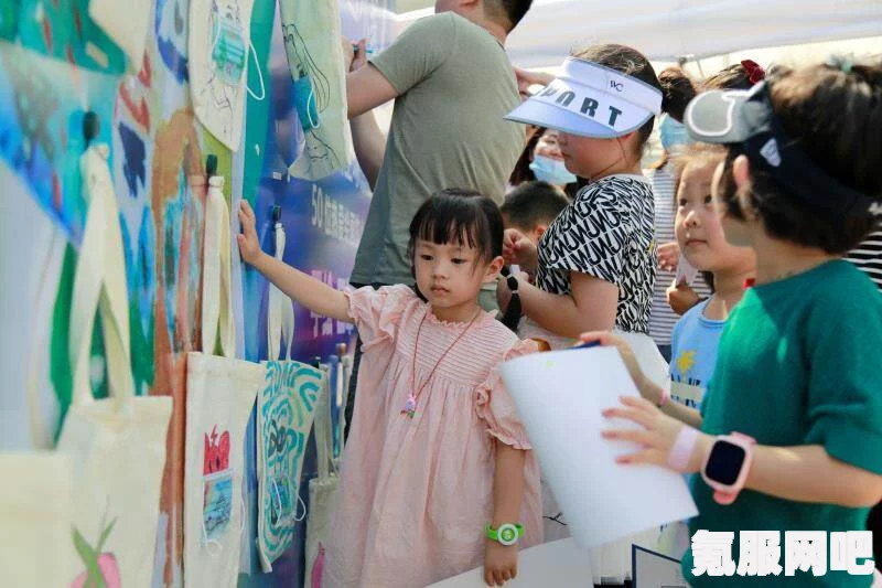 重返未来，仙岛奇观探索攻略与调查活动介绍