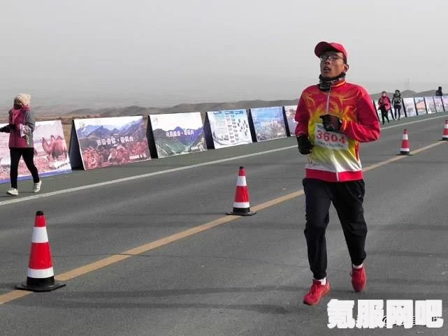 光遇露营日的奇妙探险与活动盛宴