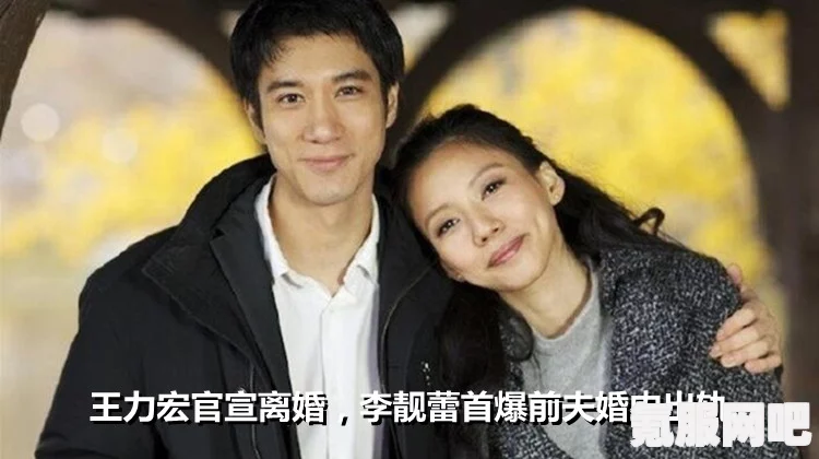 王力宏出轨事件揭秘，李靓蕾控诉背后的真相探究