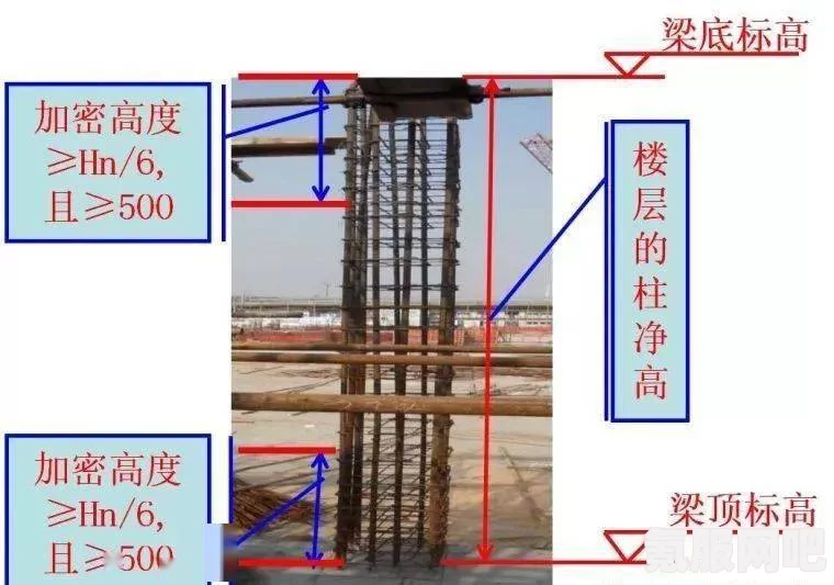 幻塔钓鱼攻略，轻松掌握钓鱼技巧全解析