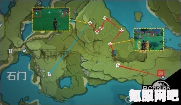 原神蒲公英全采集路线一览，详细分享56个蒲公英采集点