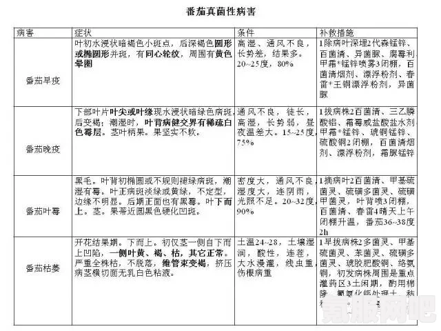 觅长生狼桃的位置，详细指南与问答环节