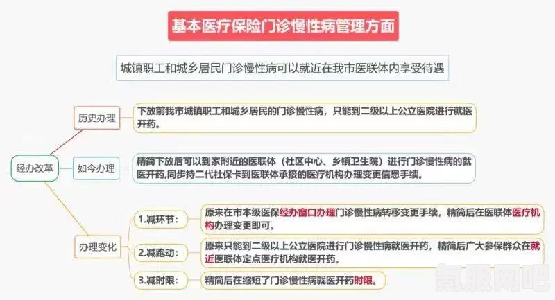 觅长生狼桃的位置，详细指南与问答环节