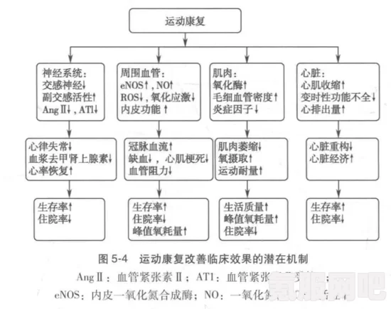 觅长生中的大活络丹制作配方与流程