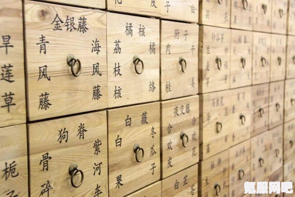 觅长生中的大活络丹配方与丹方汇总详解