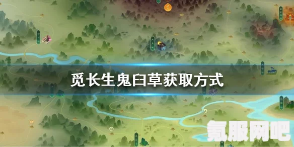 觅长生鬼臼草的获取方法与攻略