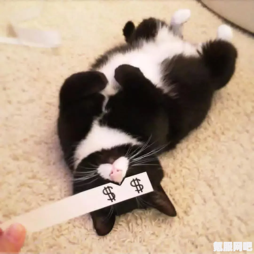 遇见你的猫爱心获取攻略及互动问答环节