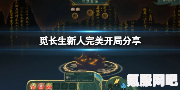 觅长生神行丹配方揭秘与分享