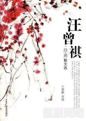 QQ飞车手游无常小黑羁绊介绍及其效果解析
