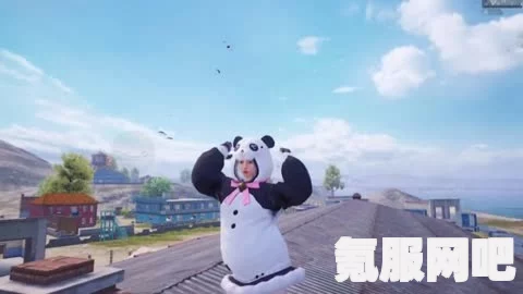 和平精英胖达视角扔雷详解，观看地点与指南